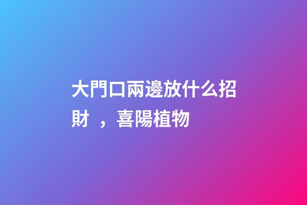 大門口兩邊放什么招財，喜陽植物